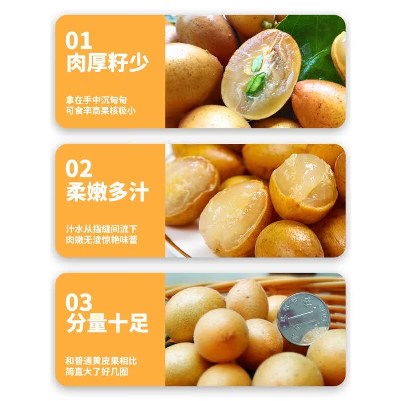 灵猫先生京东顺丰广西鸡心黄皮果新鲜5斤冰糖当季现摘酸甜黄弹子水果包邮 2500g 老树大果礼盒装