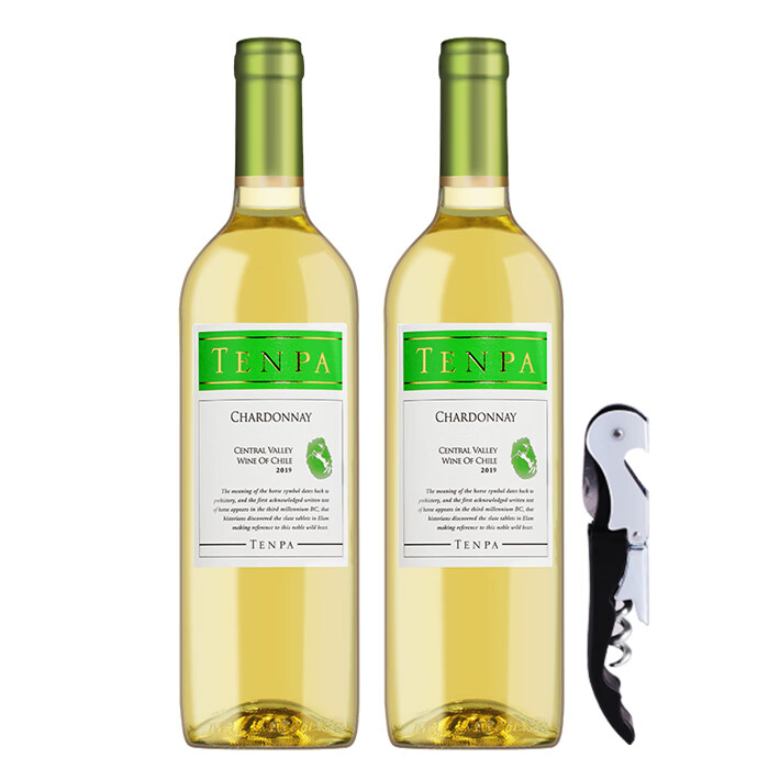 天帕智利原瓶进口天帕莎当妮霞多丽干白葡萄酒750ml*6瓶整箱 【送开瓶器】两支装