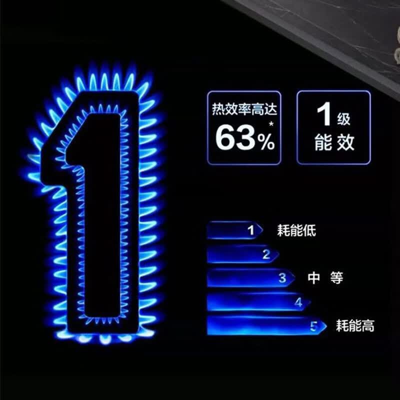 御皇好太太燃气灶煤气灶双灶台5.2KW家用猛火灶魔碟翻盖易清洁天然气灶台嵌两用一级能效煤气炉 定时|双九喷|聚能防风 【不锈钢面板】 【罐装】液化气