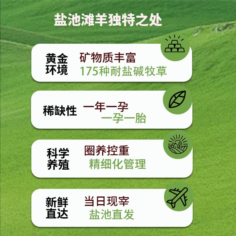 嘉谨牧场宁夏特产盐池滩羊腿排混搭装新鲜羔羊肉节日送礼生鲜礼盒 5斤后腿+3斤羊排