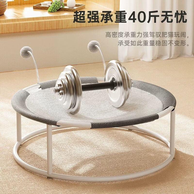 è��è����һ��è�� ʯ�һ� ͸�������ļ���19.99Ԫ