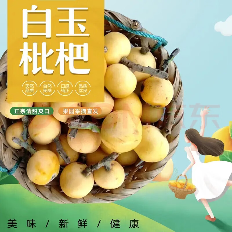 当天发货【正宗】苏州东山白玉枇杷JD多地次日达孕妇老人小孩水果 5斤96颗