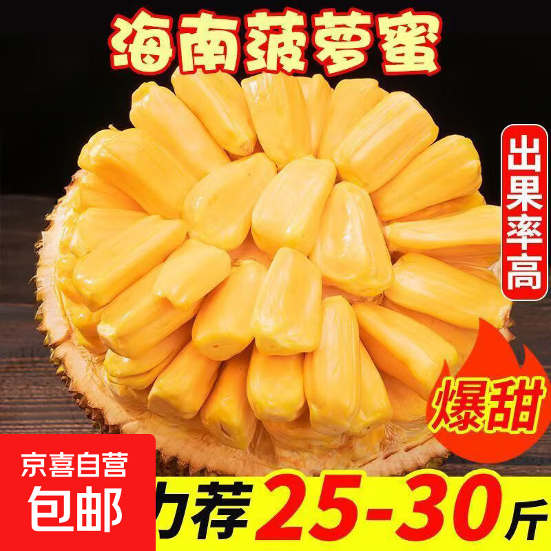 海南黄肉菠萝蜜水果特产新鲜水果生鲜波罗蜜整果 35-40斤【中大果一人独享】