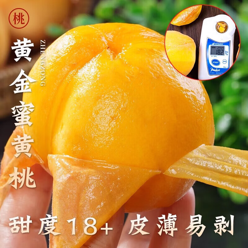 蒙阴黄桃正宗山东临沂黄毛红油桃蜜甜新鲜桃子水果礼盒端午节送礼 3.5斤果王礼盒装【单果150g-175g】 50老树新鲜现摘现发【京东顺丰-多地次日达】