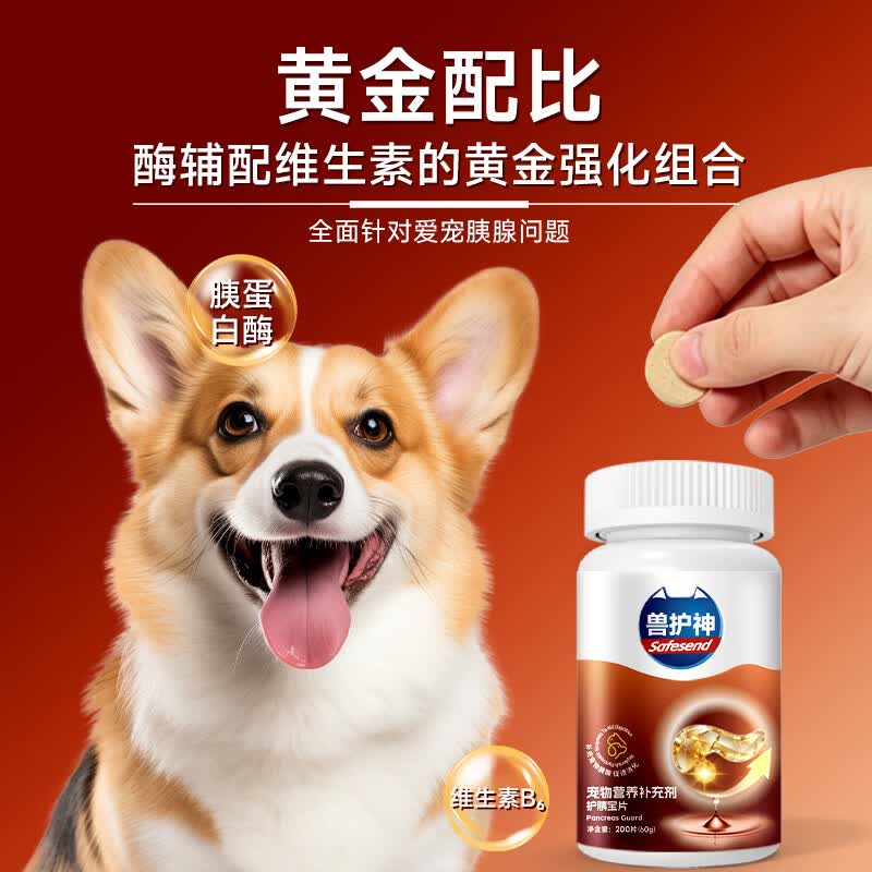 兽护神宠物胰宝片猫咪狗狗胰腺调理补胰酶促消化增免疫猫狗通用1瓶200片 【胰酶补充】胰宝片 200片*1瓶