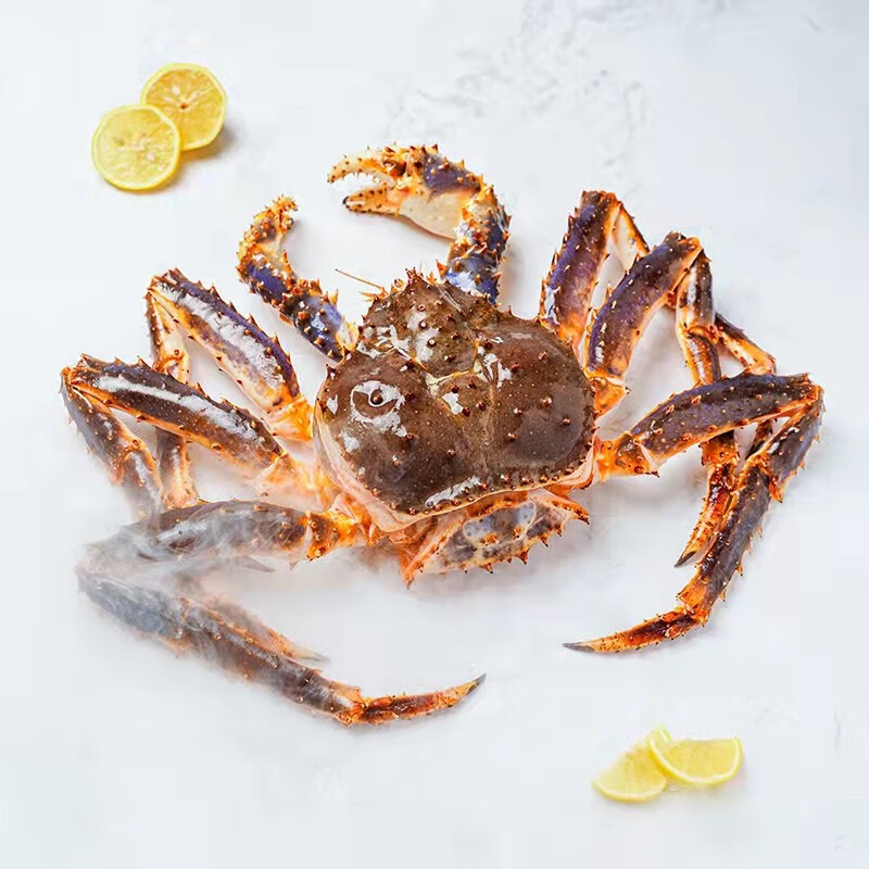 【膳富贵】俄罗斯生冻帝王蟹冰鲜活冻长脚蟹帝皇蟹海鲜水产礼盒 8-8.5斤一只 活冻帝王蟹