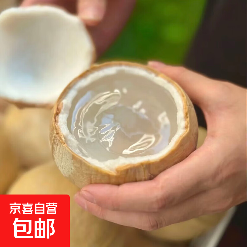 単果300g 39.9元，泰国进口椰皇8粒装 39.9元 - 线报酷