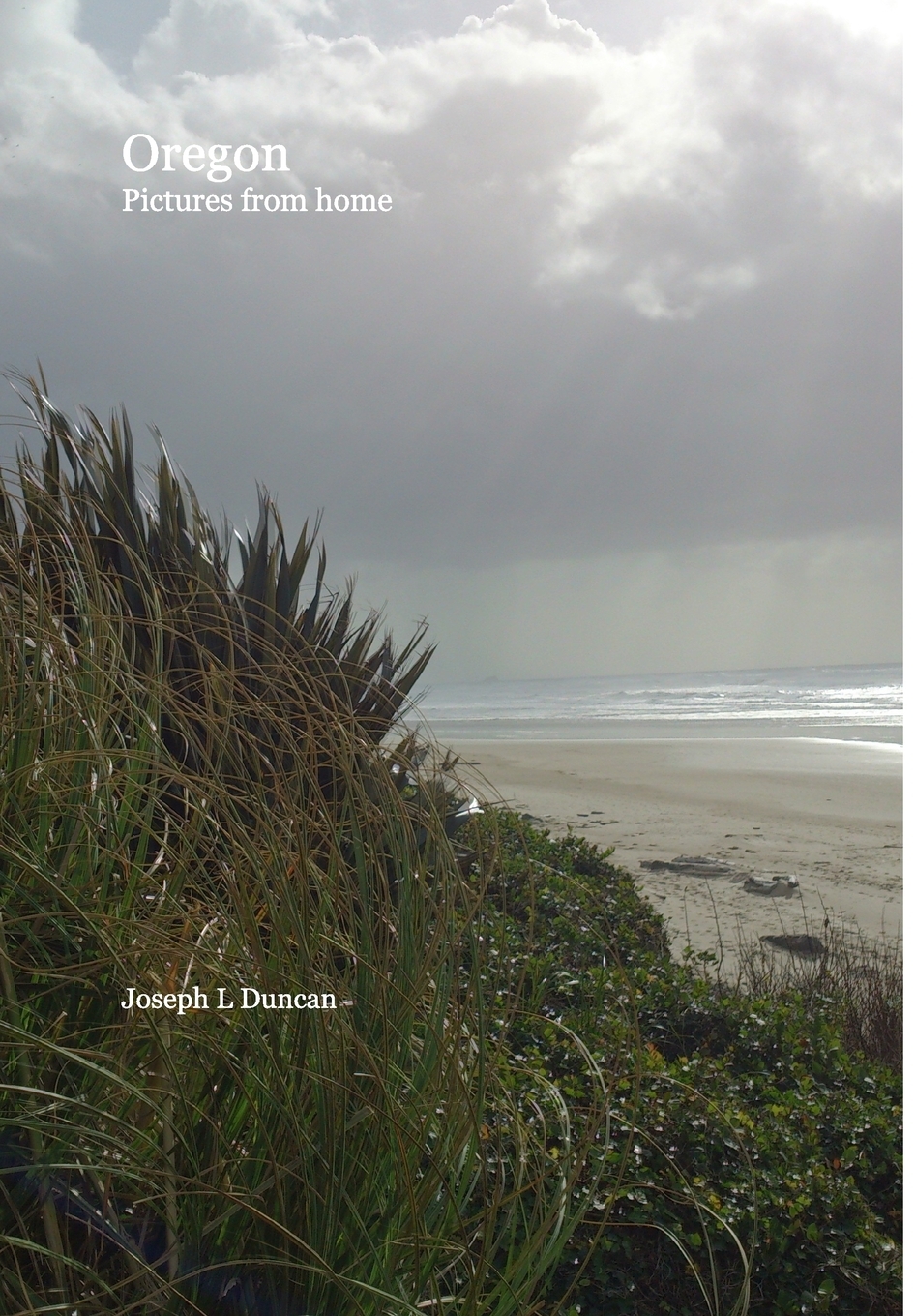 【预售 按需印刷】oregon pictures from home