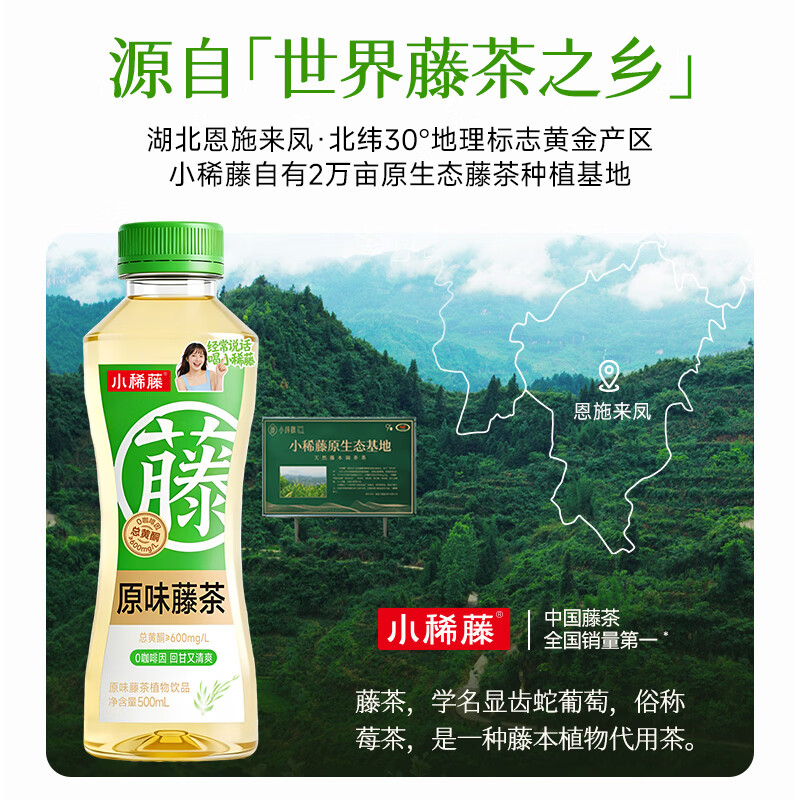 小稀藤即饮藤茶植物饮料解渴0咖啡因0蔗糖0脂肪500ml 原味藤茶 500mL*15瓶