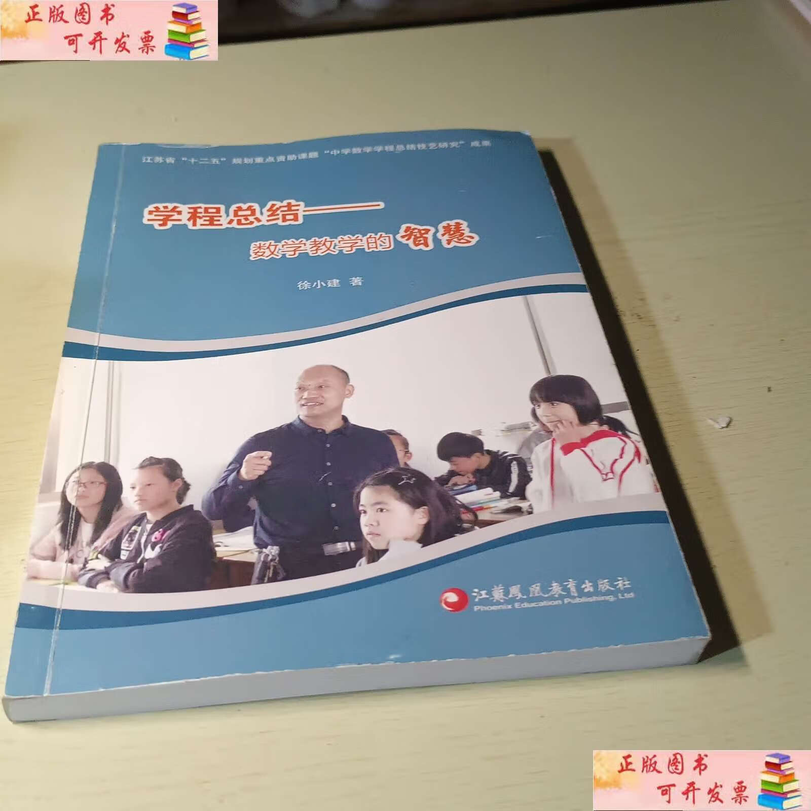 【二手9成新】学程总结数学教学的智慧。 /徐小建 江苏凤凰教育。