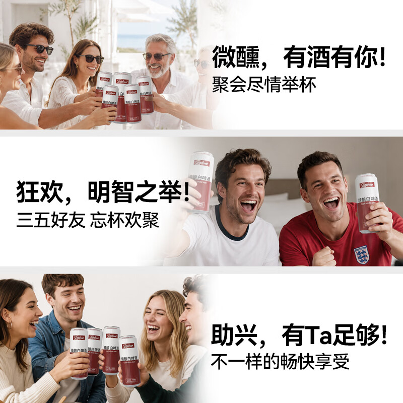 IJSSELMEER小麦精酿黑白啤酒500ml*12罐装啤酒整箱京东八仓发货 【精酿白啤】 500mL 12罐
