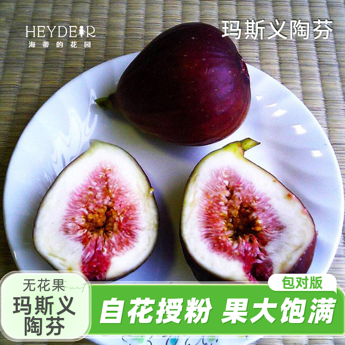海蒂的花园旗舰店无花果树苗盆栽芭劳奈大果地栽矮化当年结果南北方种植对版 无花果玛斯义陶芬13cm盆