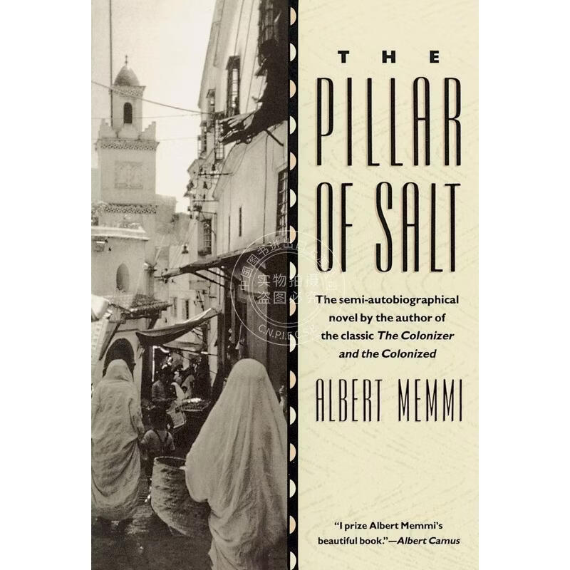 预售 The Pillar of Salt 企鹅兰登