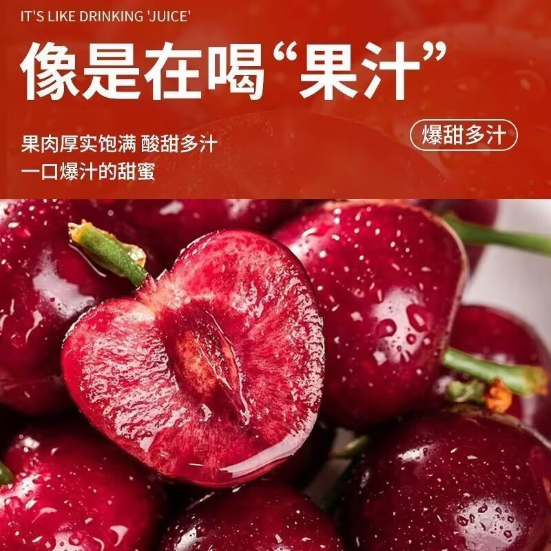 东东田山东大樱桃【早熟品种 只卖5天】国产车厘子当季现摘新鲜孕妇水果 4斤(净重) 精品果20-26mm