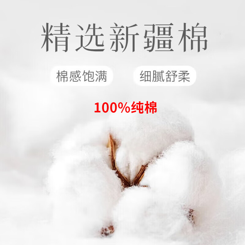FXEW轻奢潮牌100%纯棉短袖T恤男士夏季新款高端纯色商务休闲圆领体恤 白色（重磅纯棉） 4XL 195/112A（190-210斤）
