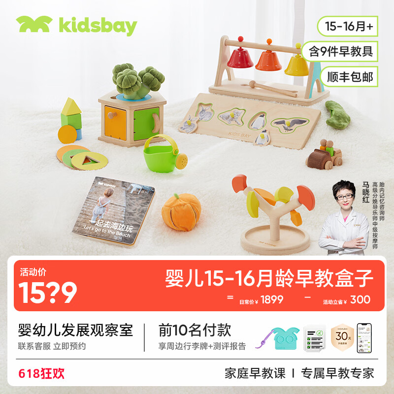 KIDS BAY【618礼遇】15-16月龄宝宝蒙氏早教盒子婴儿益智多孔形状配对玩具 15-16月龄盒