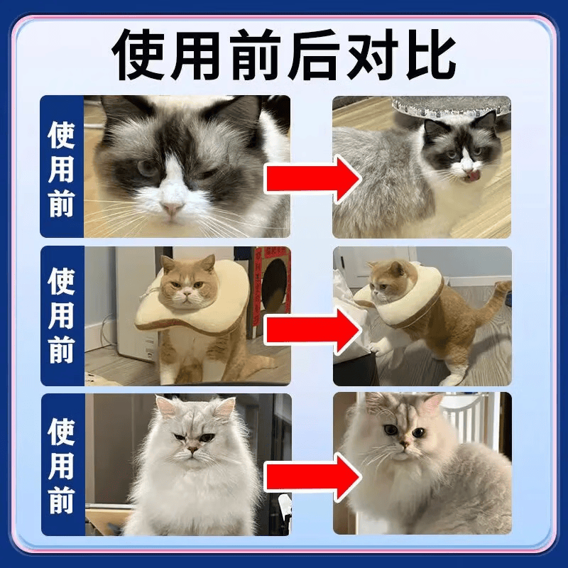 氯霉素滴眼液宠物狗狗猫咪泪痕去除眼药水滴眼液眼屎泪痕神器 3瓶滴耳液+3瓶滴眼液【宠物超值护理套装】超值装
