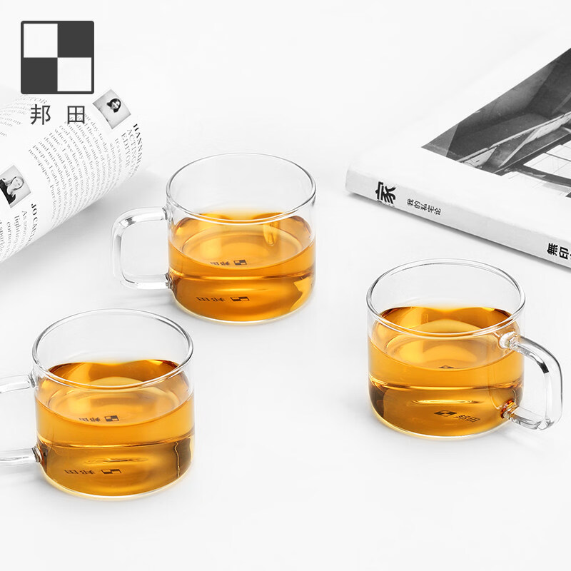 邦田(Bonston)玻璃茶杯带把手加厚咖啡功夫茶耐热透明品茗杯创意个人马克杯 100毫升4只装