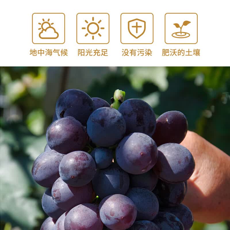 LUYITUOSHI法国原酒进口 庄园干红葡萄酒14度 节日送礼 750mL*6支整箱