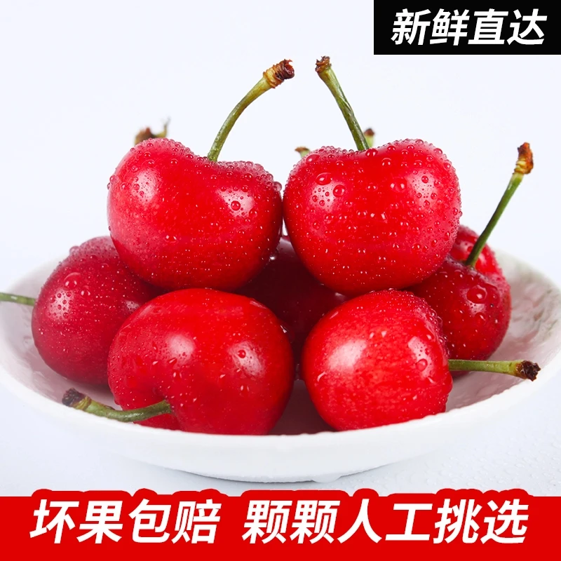 新疆喀什大樱桃新鲜采摘应季水果红灯酸甜国产车厘子包邮 2斤(净重) 新疆直发 顺丰空运 单果 28-34mm 超大果