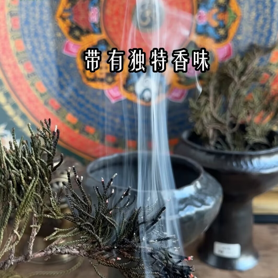 藏地新鲜野生藏香柏枝叶供养水晶房屋净宅除污秽气净化空气自然香 300克