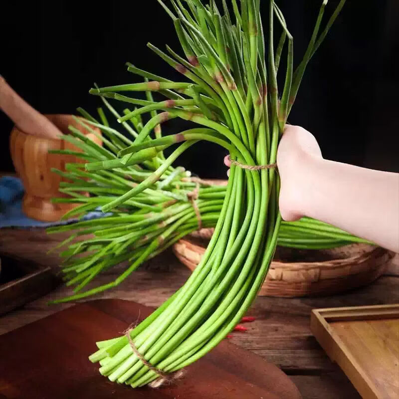 5斤蒜苔新鲜现发嫩蒜薹批发红帽蒜苔蒜毫农家自种蒜苔包邮超低价 净重3斤【保鲜膜发货】 脆嫩可口