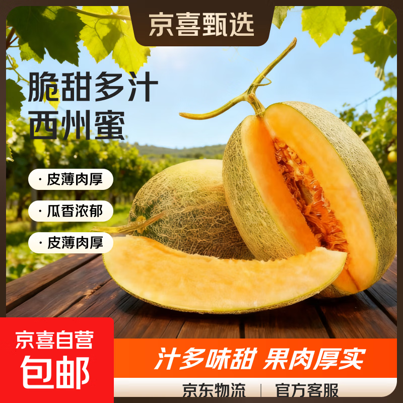 正宗哈密瓜西州蜜大果甜瓜新鲜采摘蜜瓜脆甜多汁整箱 哈密瓜1.5-2斤