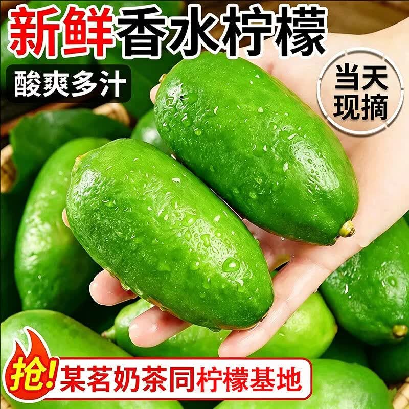 【产地批发价】海南无籽香水青柠檬鲜果整箱当季水果奶茶店专用 海南无籽香水柠檬【独立包装】 超值小果【50-80克】约9-15个果【约1.5-2斤】