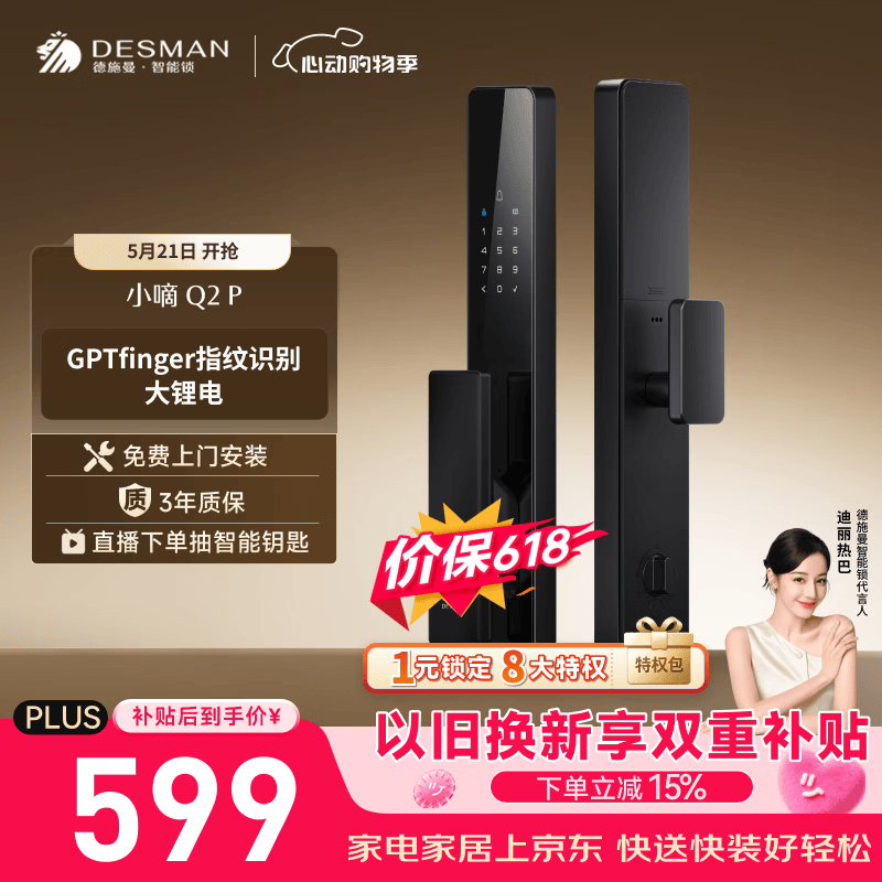 德施曼（DESMAN）智能门锁密码锁入户门 电子锁家用防盗指纹锁小嘀Q2P