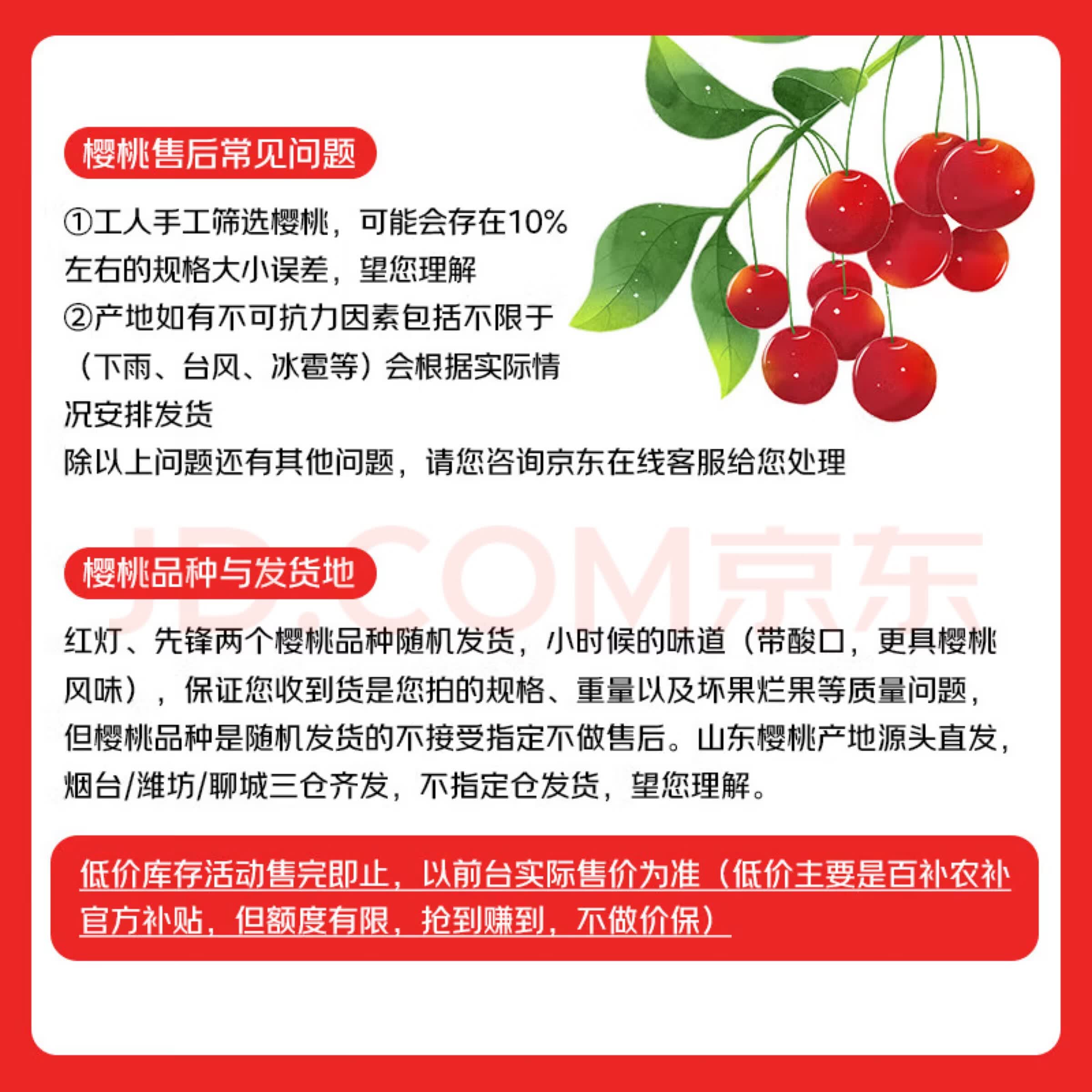 樱桃特写