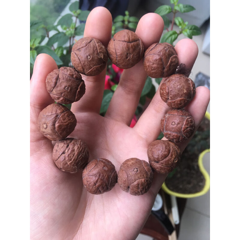 正宗尼泊尔凤眼龙眼麒麟眼菩提子手串 四五星上将麒麟眼佛珠念珠金