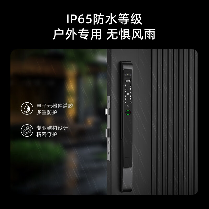 锁先森D20S双面验证双面人脸识别全自动断桥铝智能锁APP远程开锁包安装 曜石黑 涂鸦WiFi猫眼版