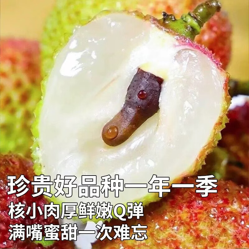 潭寨[带枝叶-更保鲜]高州妃子笑荔枝妃子枝老树大果顺丰包邮当天现摘 24g+/每个-高州荔枝-顺丰送上门 【树粗5cm的果】净4.5斤-妃子笑-带枝叶