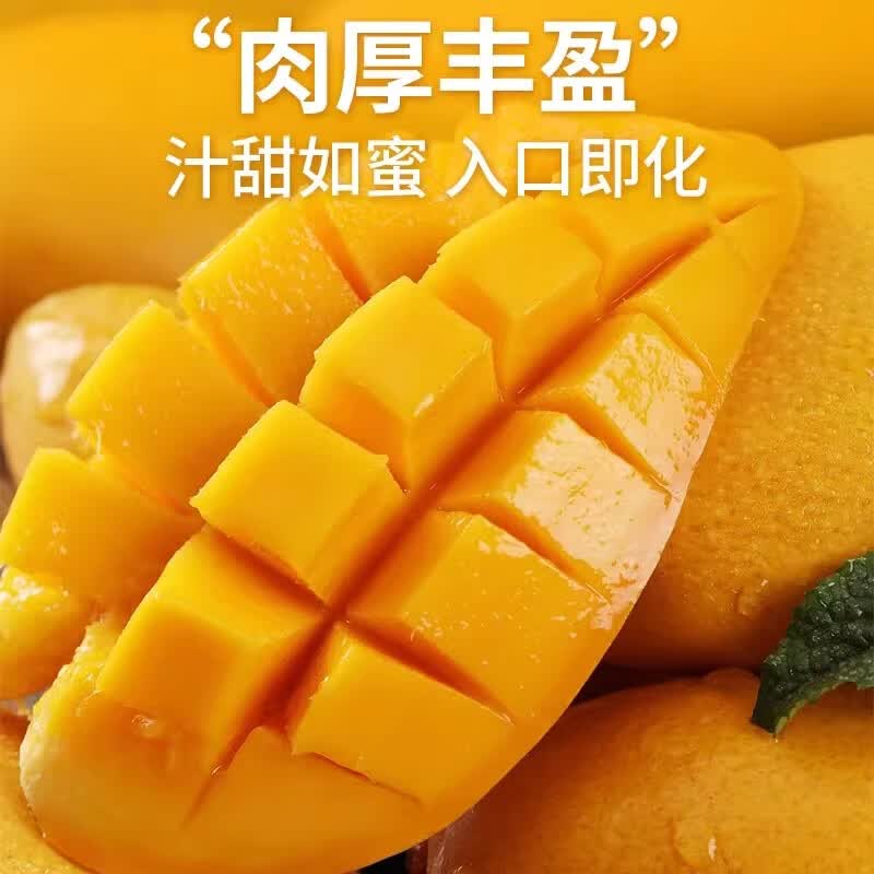 鲜宝道当季现摘广西青皮金煌芒新鲜水果青芒果 5斤金煌芒单果150-300克净重4.5斤