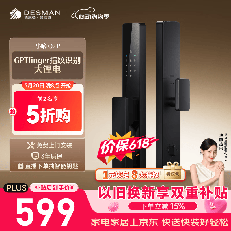 德施曼（DESMAN）智能门锁密码锁入户门 电子锁家用防盗指纹锁小嘀Q2P