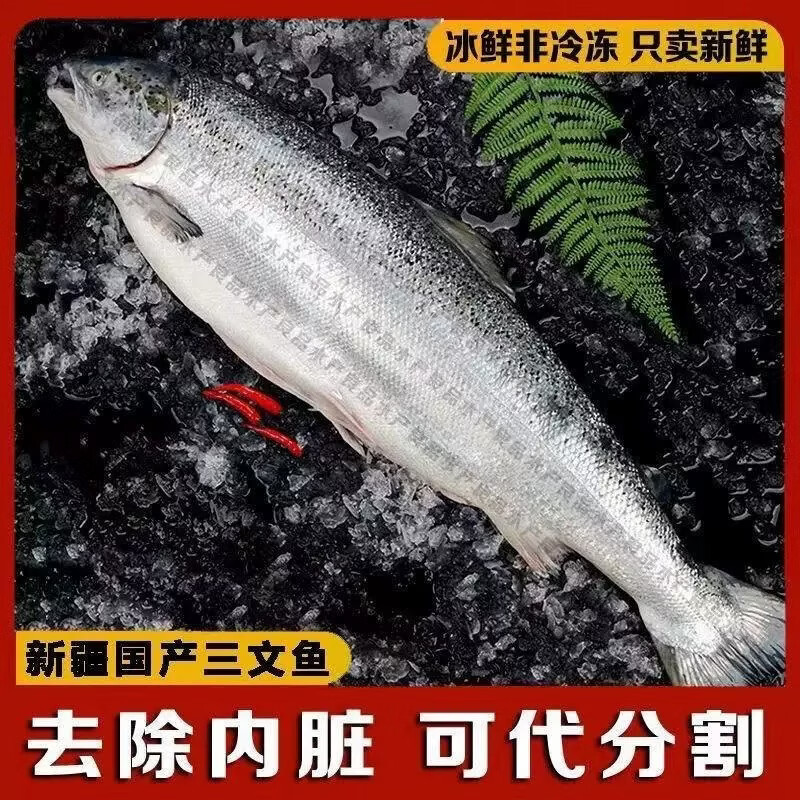 【顺丰包邮】新疆三文鱼整条可开片江苏发新鲜3-10斤虹鳟三文鱼 6斤 整条开片(送酱料包)