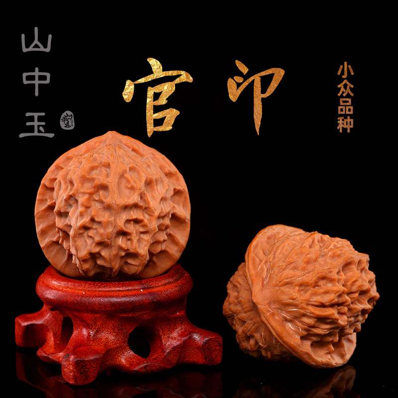 山中玉 文玩核桃 狮子头小众品种盘玩手把件送长辈父母礼物古玩核头麻