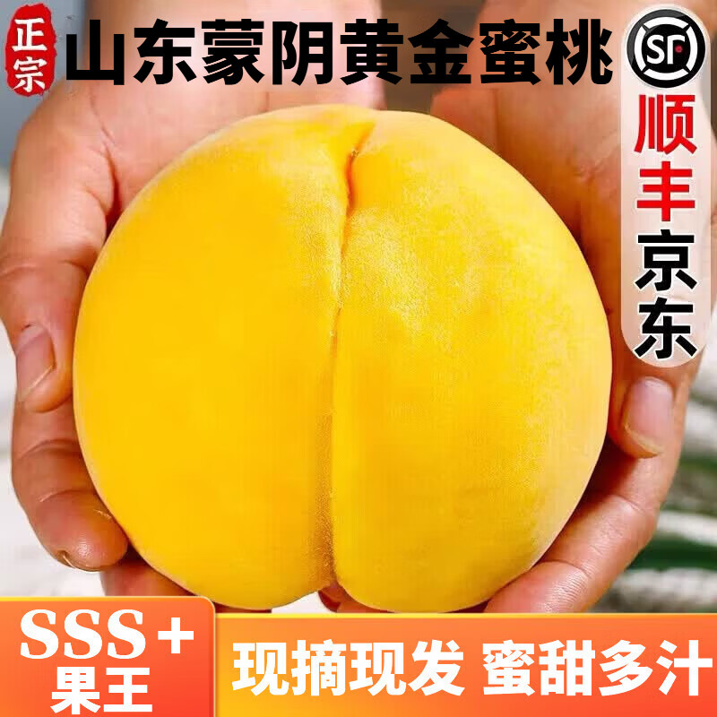 蒙阴黄桃正宗山东临沂黄毛红油桃蜜甜新鲜桃子水果礼盒端午节送礼 3.5斤果王礼盒装【单果150g-175g】 50老树新鲜现摘现发【京东顺丰-多地次日达】