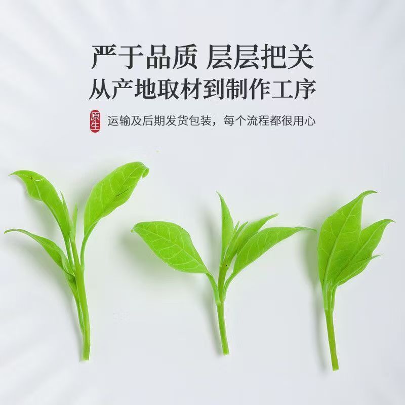 同仁堂(TRT)贵州小叶苦丁茶野生特级养2026嫩芽中老年人控血糖血脂血压清肝 头采小叶苦丁茶 200g*4罐 四罐超值装