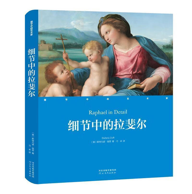 细节中的拉斐尔传记 图书