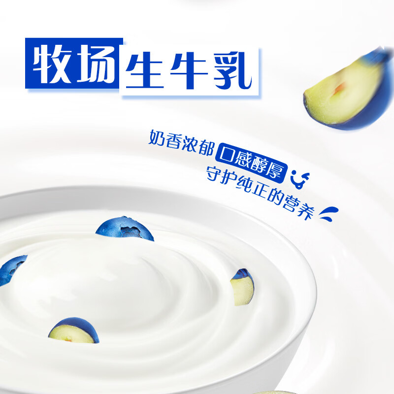 纯甄蓝莓水果味酸奶200g*10瓶*2提【营养早餐 礼盒送礼】 200g*10盒*2箱