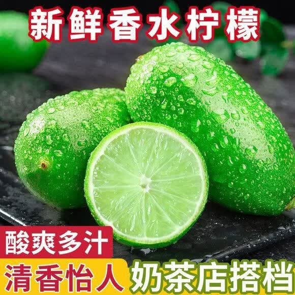 【产地批发价】海南无籽香水青柠檬鲜果整箱当季水果奶茶店专用 海南无籽香水柠檬【独立包装】 超值小果【50-80克】约9-15个果【约1.5-2斤】