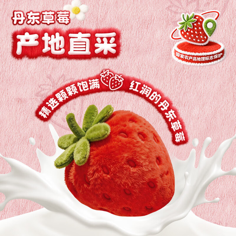 伊利安慕希丹东草莓风味酸奶230g*10瓶 草莓熊IP装
