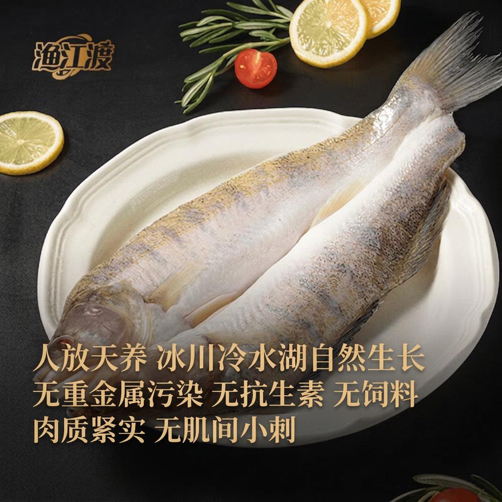 渔江渡山姆同款新疆野生梭鲈鱼天山雪龙鱼三去调味免处理肉质鲜美淡水鱼 天山渔歌礼盒含6条新疆梭鲈鱼重7.2斤 1件