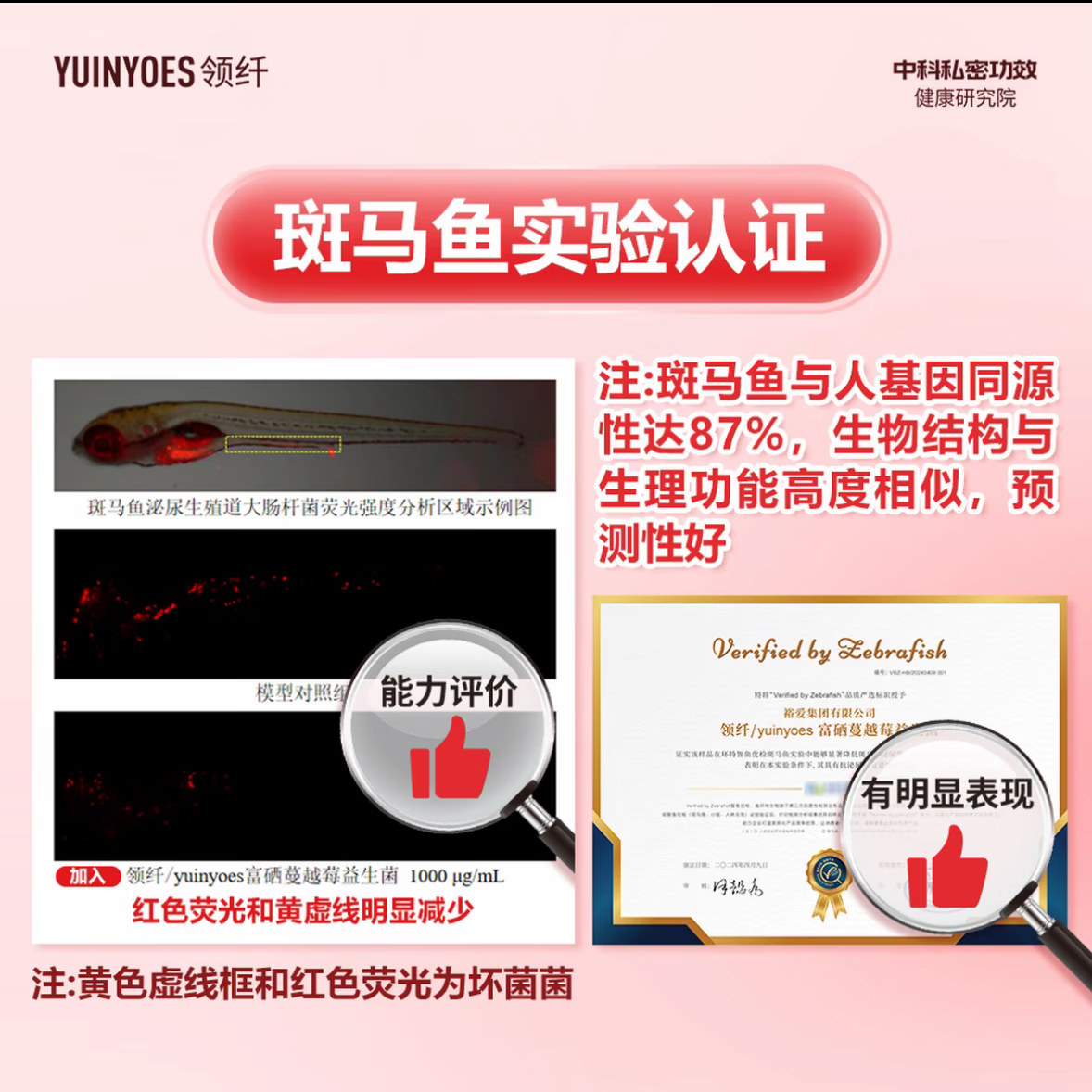 领纤 领纤YUINYOES小红帽PRO 富硒多肽蔓越莓益生菌 21g*4盒 【蔓越莓益生菌四盒】
