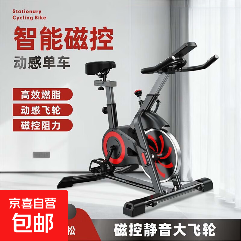 新款家用动感单车家用健身器材室内运动锻炼静音磁控健身车自行车 白色磁控带表款