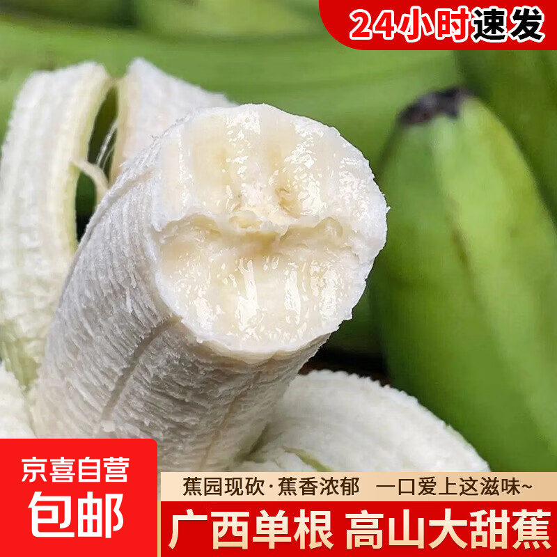 京喜加高山香蕉单根甜蕉现摘一把青皮香蕉营养辅食青蕉发货 带箱2斤装