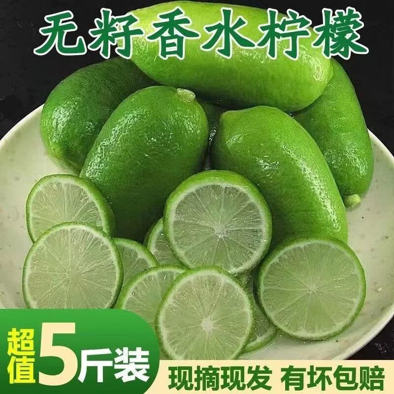 【产地批发价】海南无籽香水青柠檬鲜果整箱当季水果奶茶店专用 海南无籽香水柠檬【独立包装】 超值小果【50-80克】约9-15个果【约1.5-2斤】