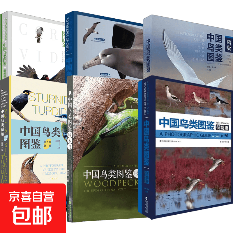 中国鸟类图鉴系列 44种野生啄木鸟鸦科版海鸟鸥版海鸥椋鸟科鸫科鸻鹬版 新手入门观鸟爱好者 孙家杰 著 科普读物 观鸟BB科普教育课 亚洲鸟类观察手册 海峡书局 中国鸟类图鉴 6册