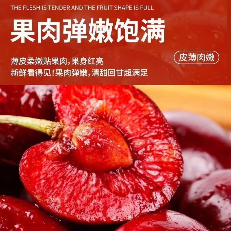 东东田山东大樱桃【早熟品种 只卖5天】国产车厘子当季现摘新鲜孕妇水果 4斤(净重) 精品果20-26mm